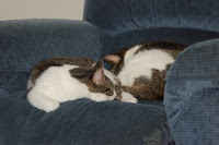 Oscar-Whitey-2009-Aug-19.jpg