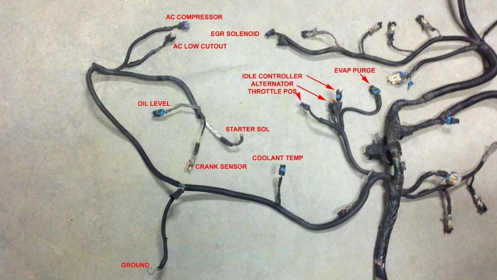 Wiring Harness For Ls1 Swap | schematic and wiring diagram