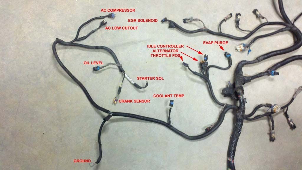 Wiring Harness For Ls1 Swap schematic and wiring diagram