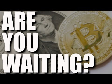 Why Is Bitcoin Rising?, 1 Million Waiting, Cardano NFT Platform, BTC Adoption & Oh Boy... | Blockchained.news Crypto News LIVE Media