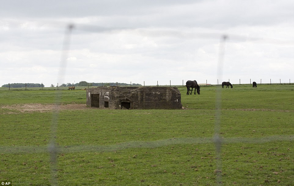 Horses eat in a pasture surrounding a German-built bunker in St. Jan, Belgium