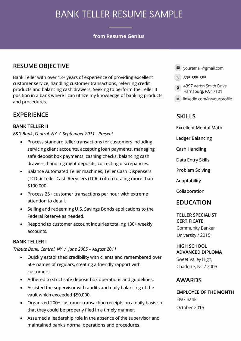 Resume For Bank Customer Service Representative With No Experience