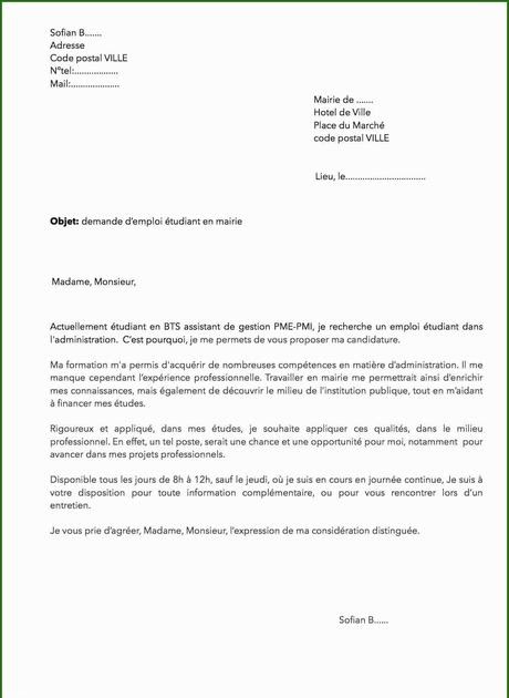 Lettre De Motivation Pour Job étudiant En Grande Surface
