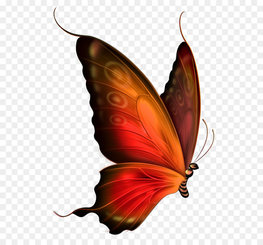 Featured image of post Glowing Butterfly Background Png Format Picsart Butterfly Png : Find &amp; download free graphic resources for butterfly.