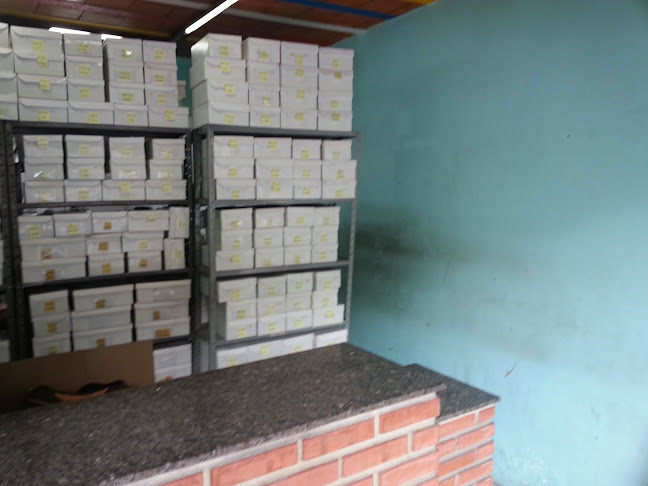 Renovadora de Calçados Magno - Loja de calçado