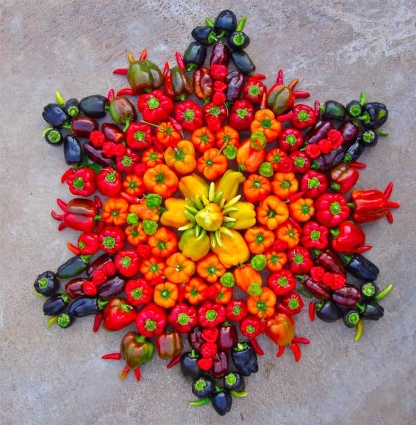 Flower Mandalas by Kathy Klein Flower Mandalas by Kathy Klein plants land art flowers