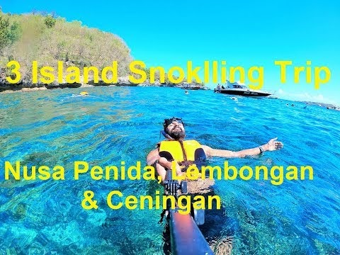 Best Places For Snorkeling In Bali: 3 Island Cruise : Nusa Lembongan, Nusa Penida And Nusa Ceningan