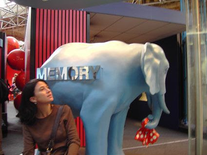 memorie de lefant