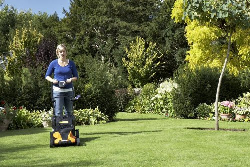 best for you: WORX WG782 14-Inch 24-Volt Cordless Lawn Mower with