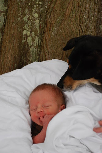 4-5-08 Babies 166