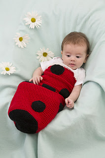 Lw3343_project_small2