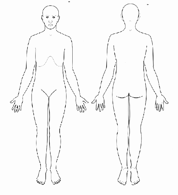 Blank Anatomical Position Diagram / Anatomical Terms Of Location