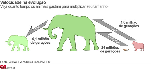 Estudo determina velocidade da evolução em longo prazo pela 1ª vez. (Foto: Arte / G1) Estudo determina velocidade da evolução em longo prazo pela 1ª vez. (Foto: Arte / G1)