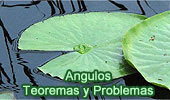 Angulos: Teoremas y Problemas.