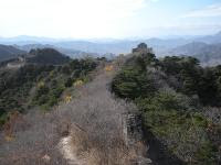 Free Image Hosting at www.ImageShack.us