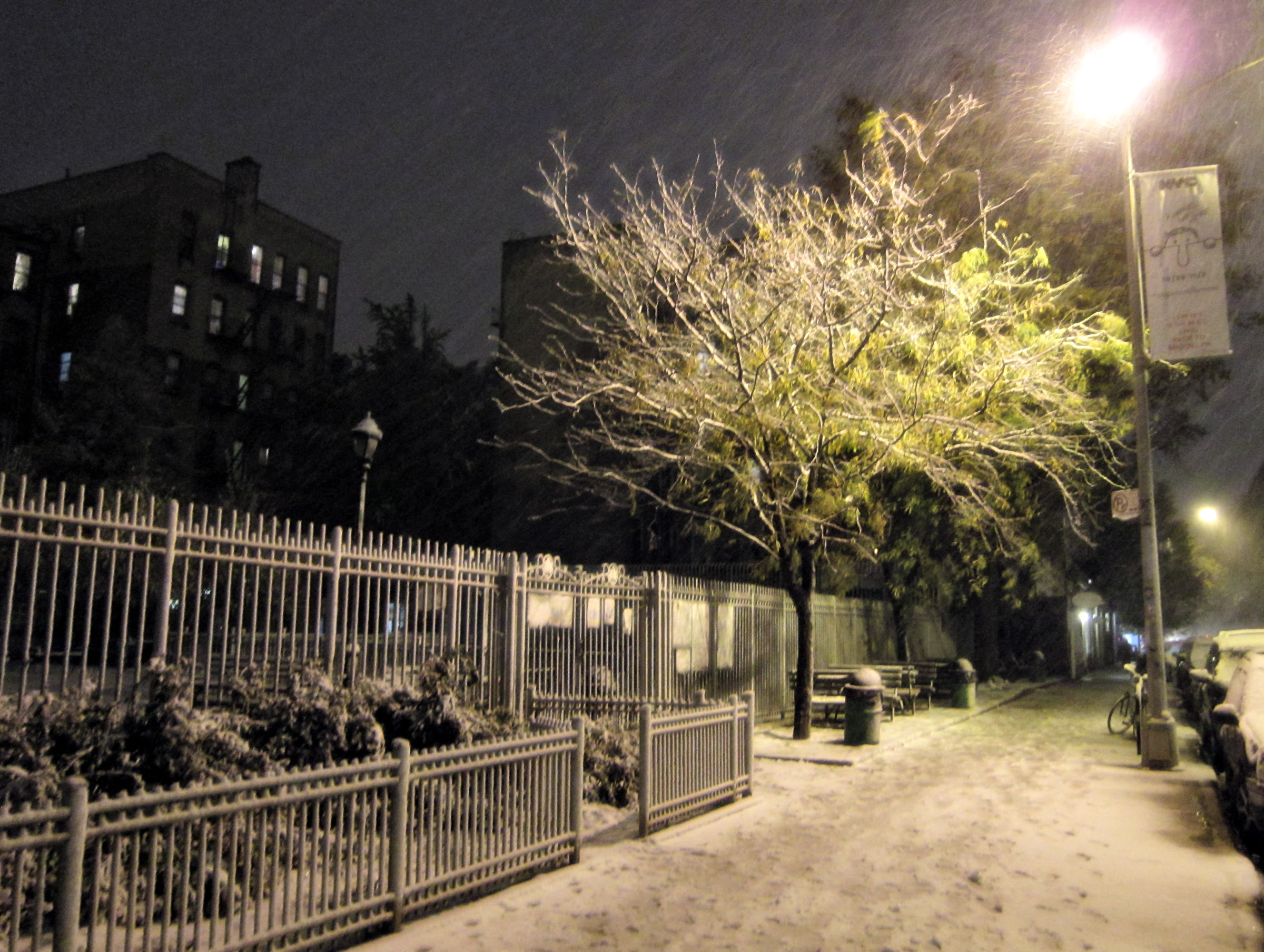 Nor'easter Athena
