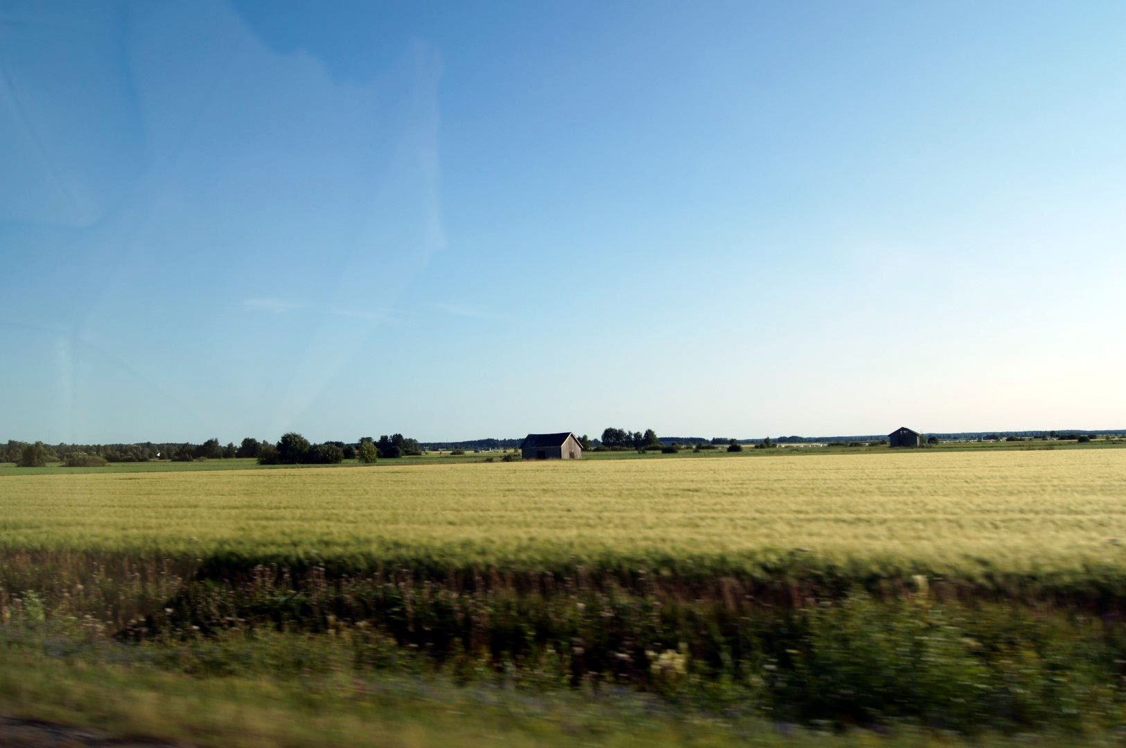 photo d0b0e55b-239a-4bcd-9616-9bad57064e50.jpg