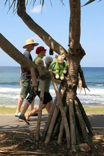 Mel in Mooloolaba