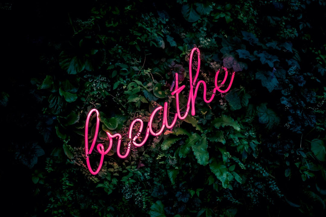 Gratis Unduh Gambar Best 500 Neon Sign Pictures Download Free Images On Unsplash Terkeren oleh Cikimm.com