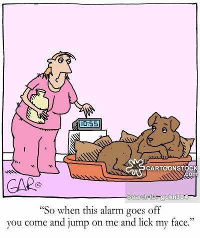 Wake Up Funny Cartoon