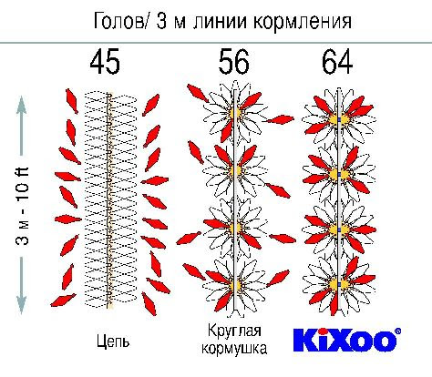 Схема кормления бройлеров в таблице