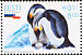 Emperor Penguin Aptenodytes forsteri Emperor Penguin Aptenodytes forsteri