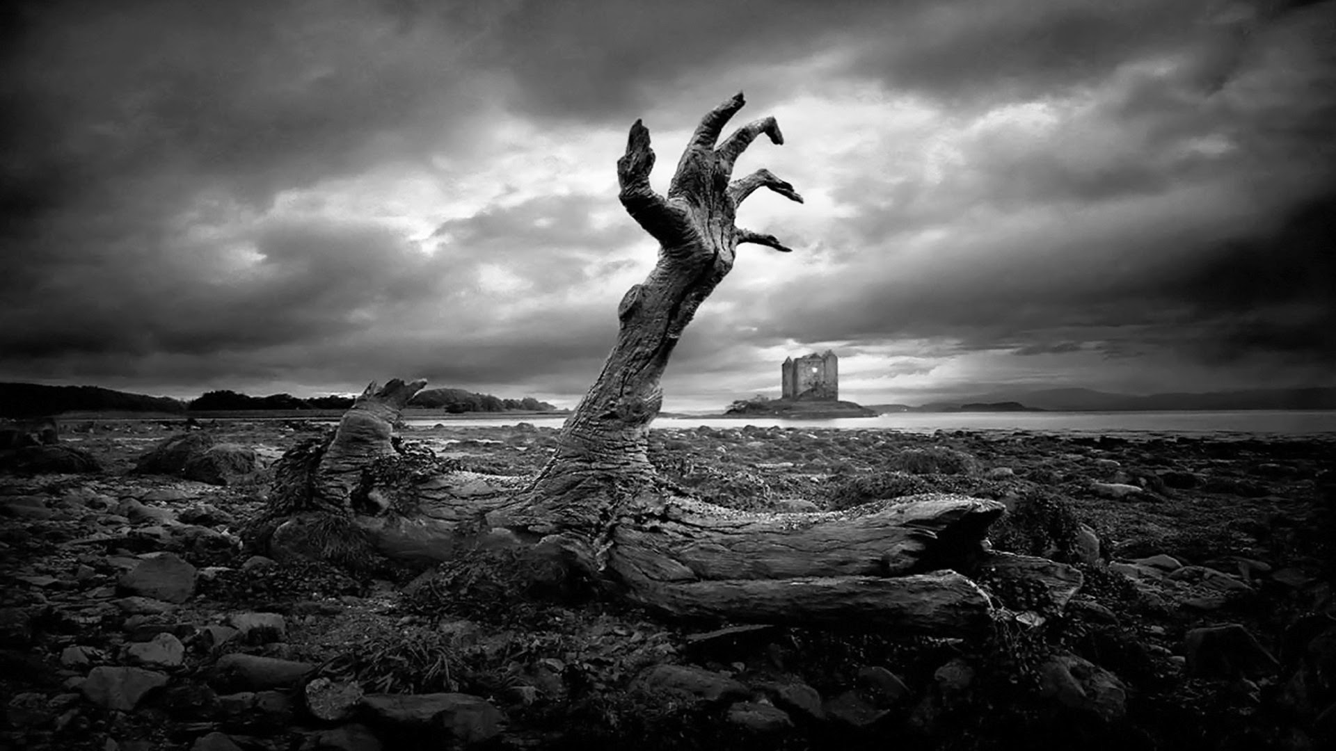 Beautiful Horror Background Wallpaper Hd Free Download Pictures