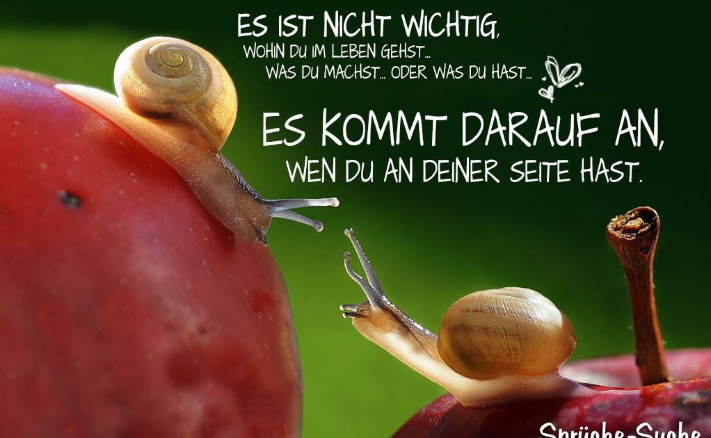 Weise Sprüche Zur Liebe Sprüche