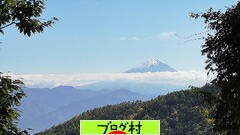 ブログランキング・にほんブログ村へ
