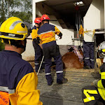 Saône : Doubs : le plancher du camion s'effondre sur la RN57, un cheval secouru par les pompiers