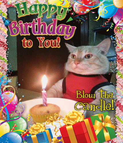 Download Gif Happy Birthday Cat | PNG & GIF BASE