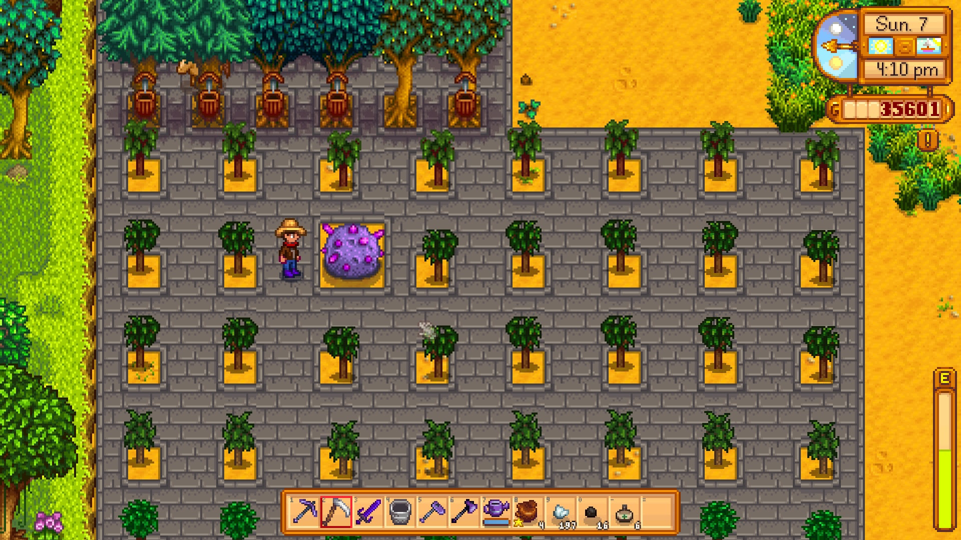  Stardew Valley 