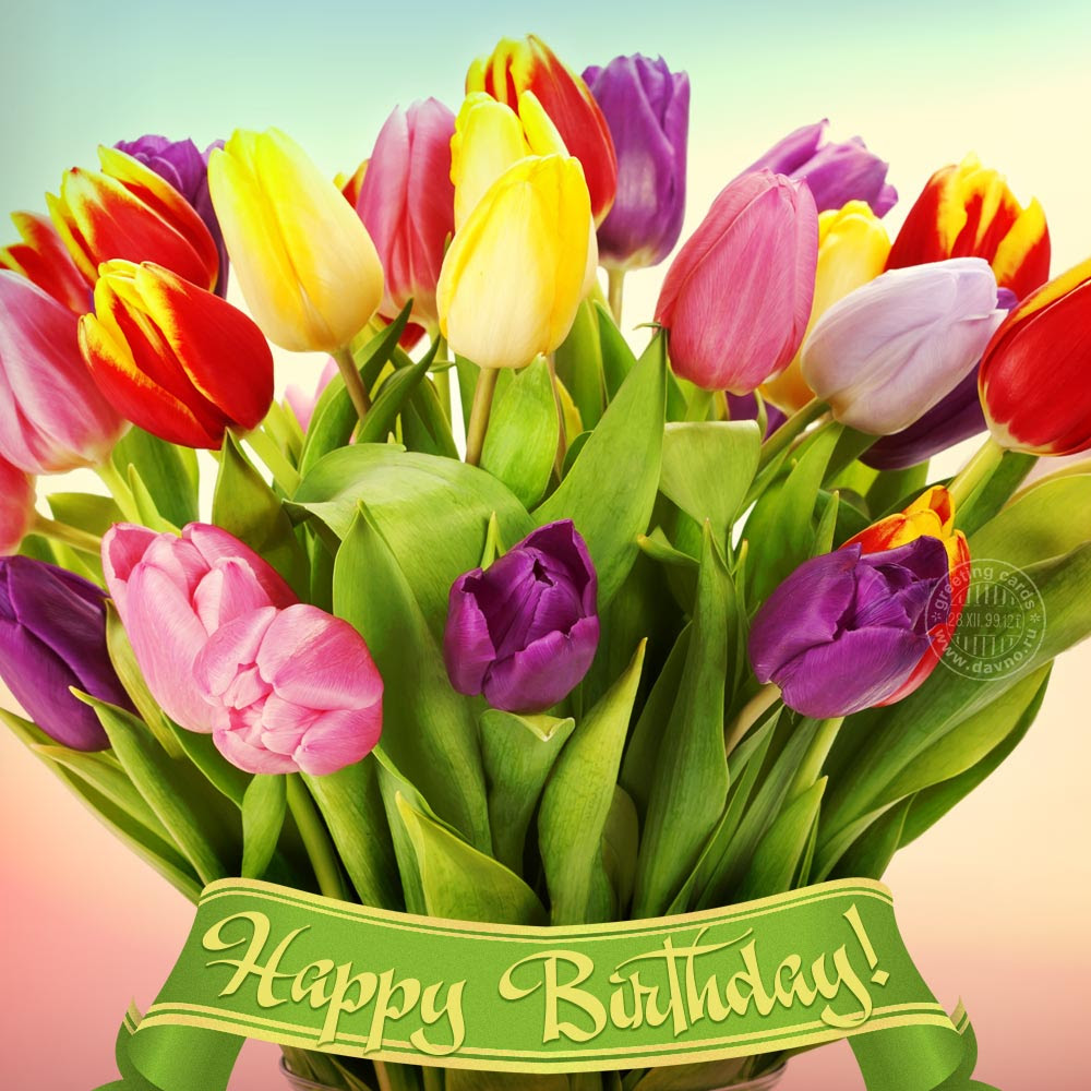 Happy Birthday Beautiful Tulips / These soft and fuzzy messages can be ...