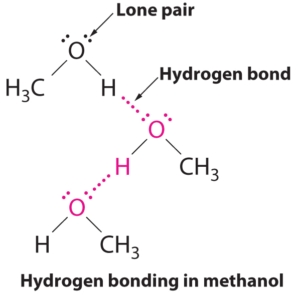 34-clearly-label-the-hydrogen-bond-donor-and-acceptor-atoms-labels