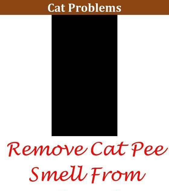 vinegar urine smell