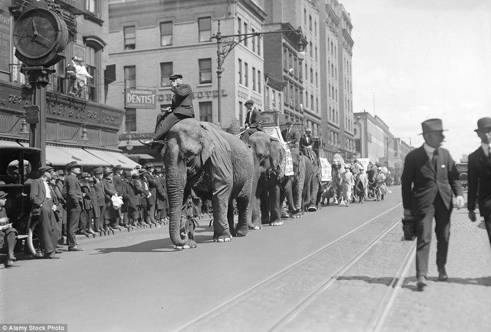 One of the most famous features was Luna Park that opened in 1903 and was a fantasy world with live camels and elephants 