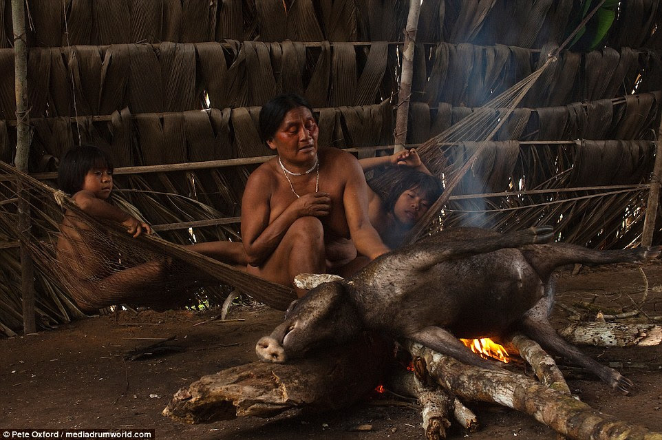 As crianças assistem de uma rede enquanto uma mulher Huaorani cozinha um pecarí. Peccaries são encontrados em toda a América Latina