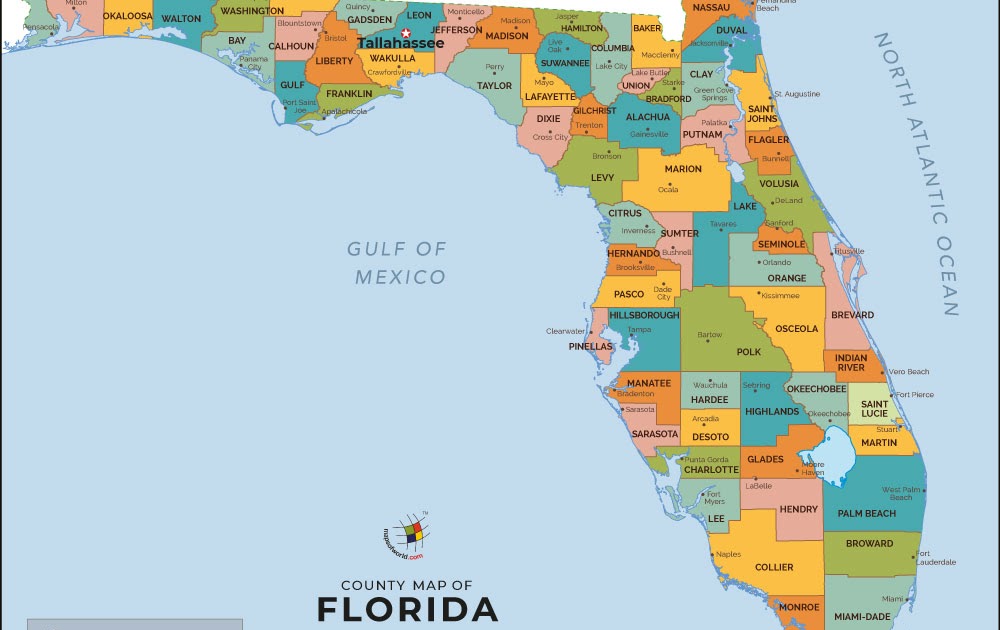 30 Zip Codes Map Tampa - Online Map Around The World