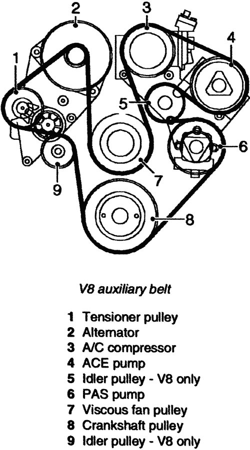 3800 Series 2 Serpentine Belt Diagram - Atkinsjewelry