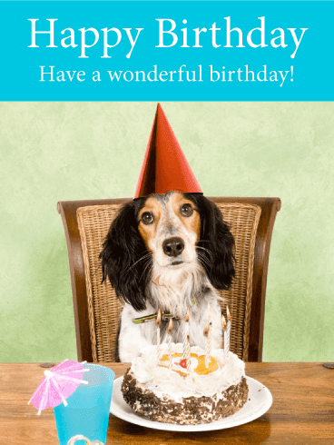 Animal Birthday Cards / Funny animal birthday cards - See more ideas ...