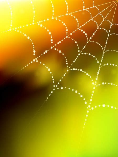 Spider web free vector download (4,759 Free vector) for Spider web free vector download (4,759 Free vector) for