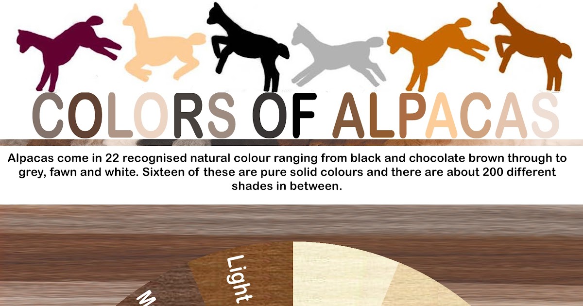 Alpaca Color Chart