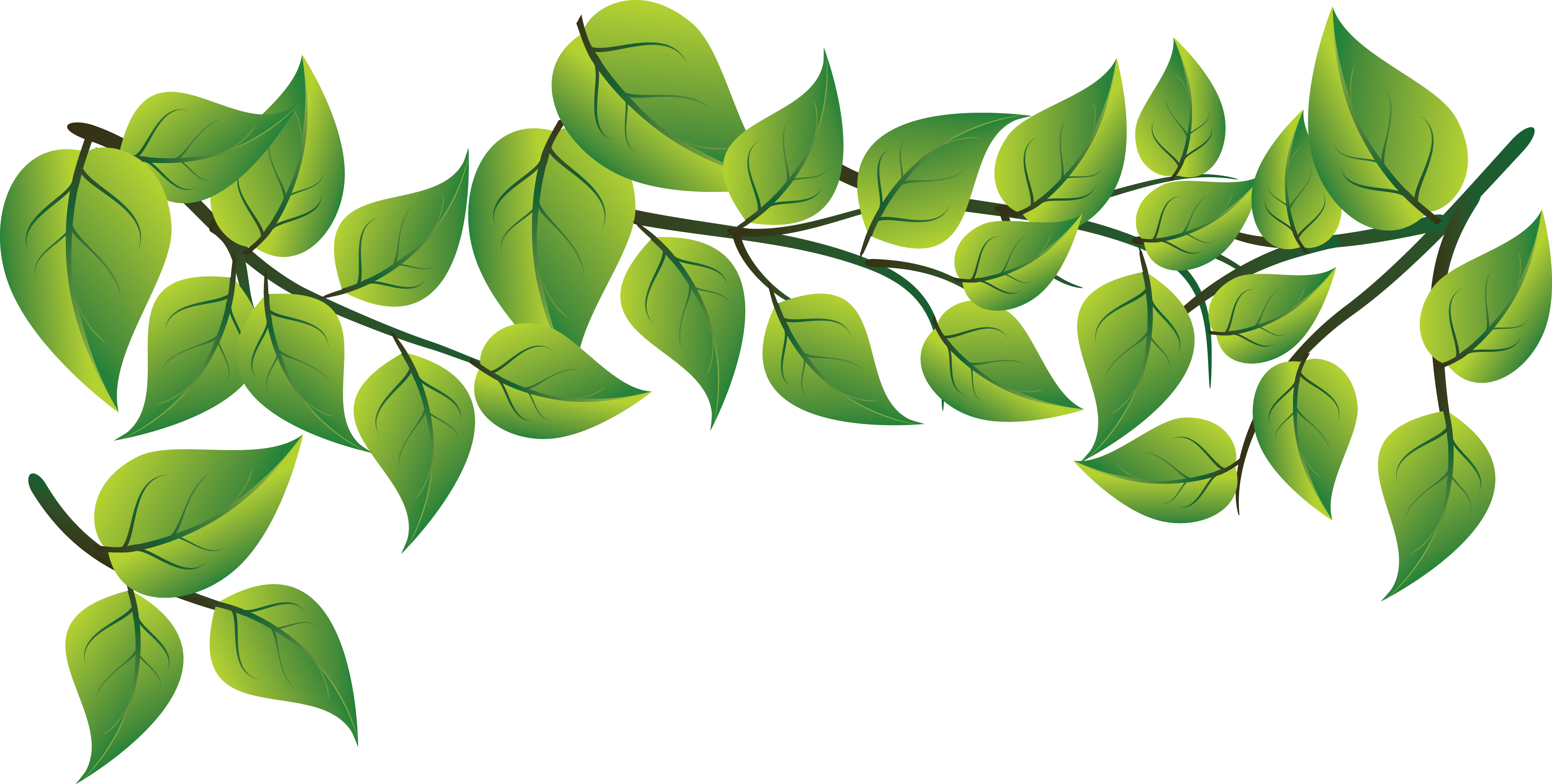 21++ Png Image Gambar Daun Png Cari Gambar Keren HD