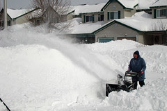 Digging Out