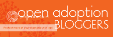 Open Adoption Blogs