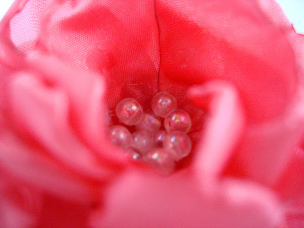DSC05047 DSC05047