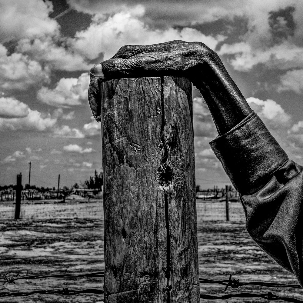 Fence post. Allensworth, California (photo by Matt Black)
