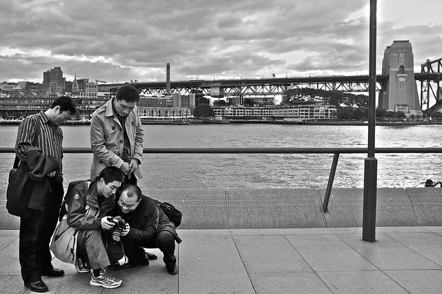 Chimping Altogether