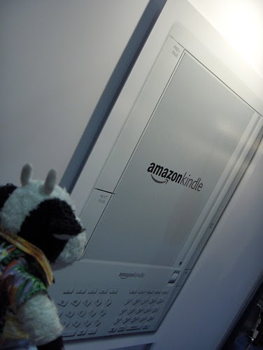 Wow, that's the biggest Amazon Kindle I've ever seen