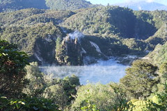NZ 174